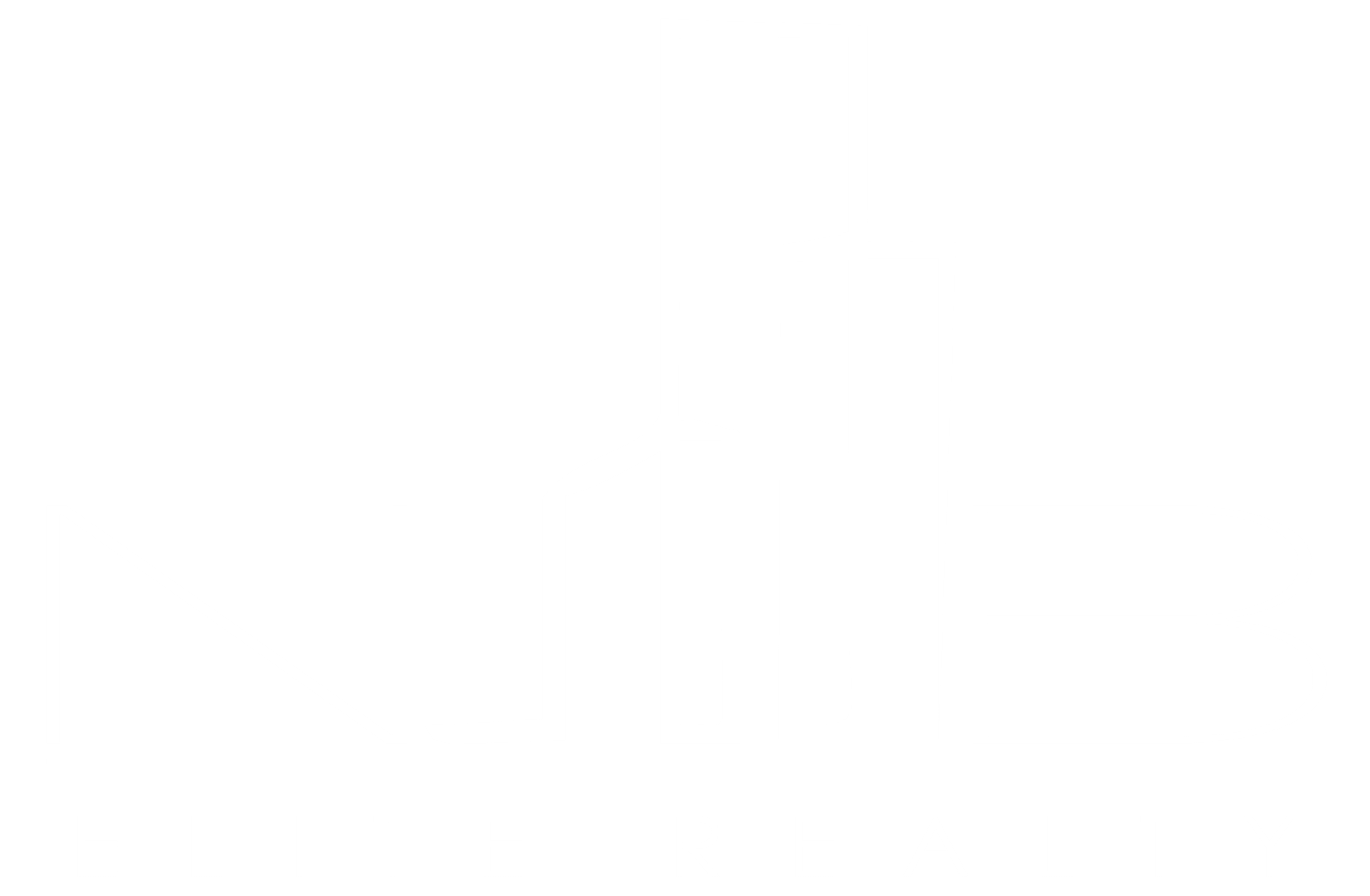 white nb elite realty logo