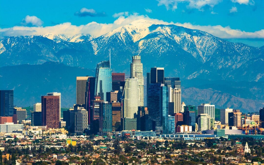 Los Angeles, California, Real Estate Agents (Partner with NB Elite Realty)